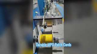 Giới thiệu Dây Patch MPO 8 lõi 12 lõi bện PET cho bạn