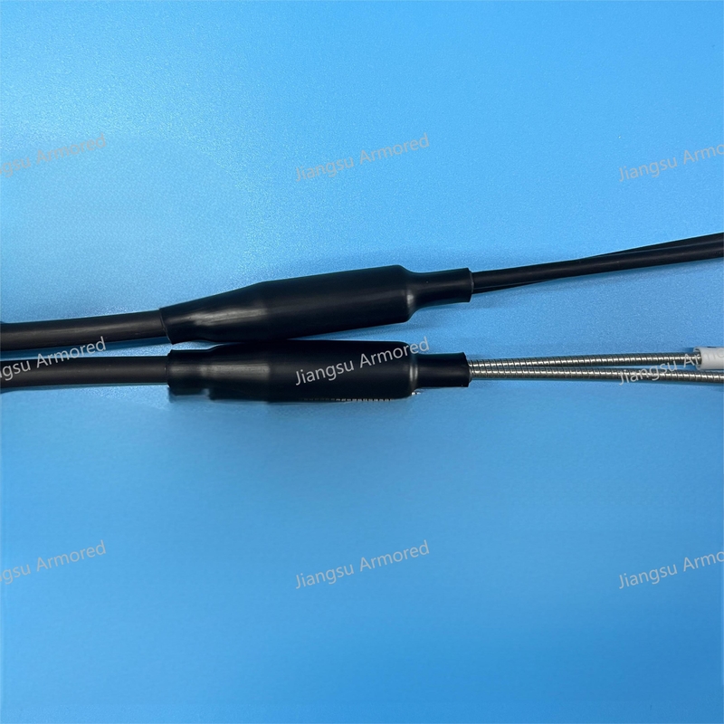 2F SM Armored Patch Cord CPRI DLC 0.1M DLC 0.5M 5.0mm Black LSZH FTTA Patch Jumper