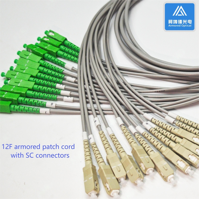 12 Core Sc Apc Fiber Patch Cable 2m Sc Upc Sc Upc Simplex 6.5mm Grey PVC