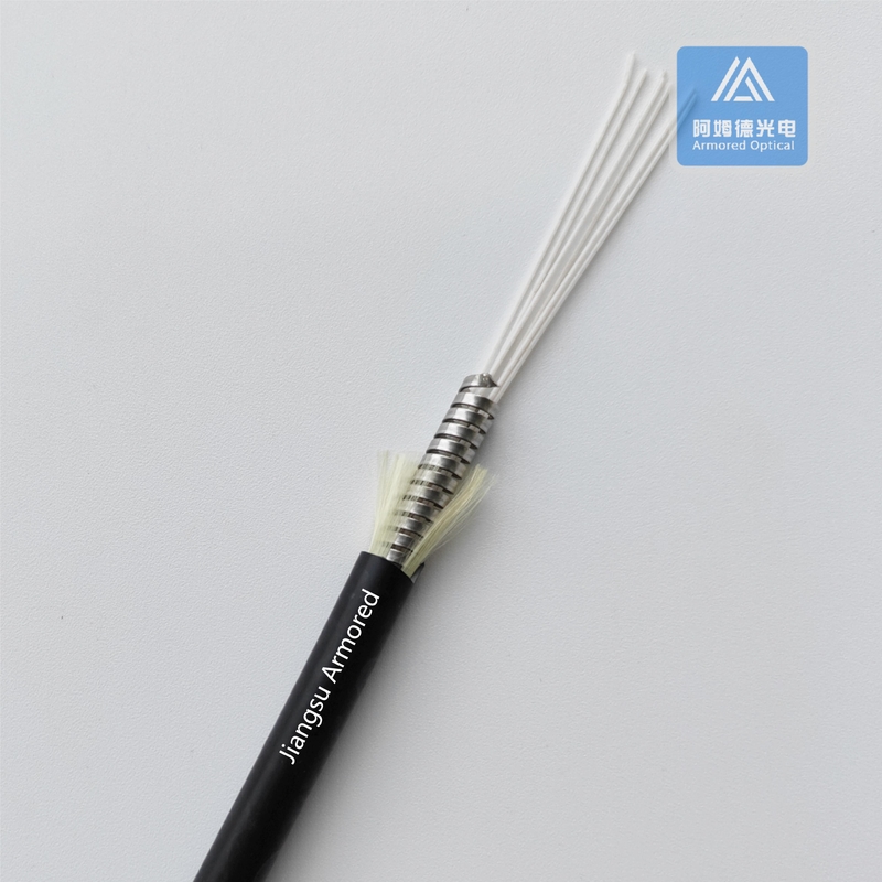 6 Cores Armored Fiber Cable 6.5mm Black PVC  Rodent Resistant  Flexbile Armored Fiber Cable FTTH