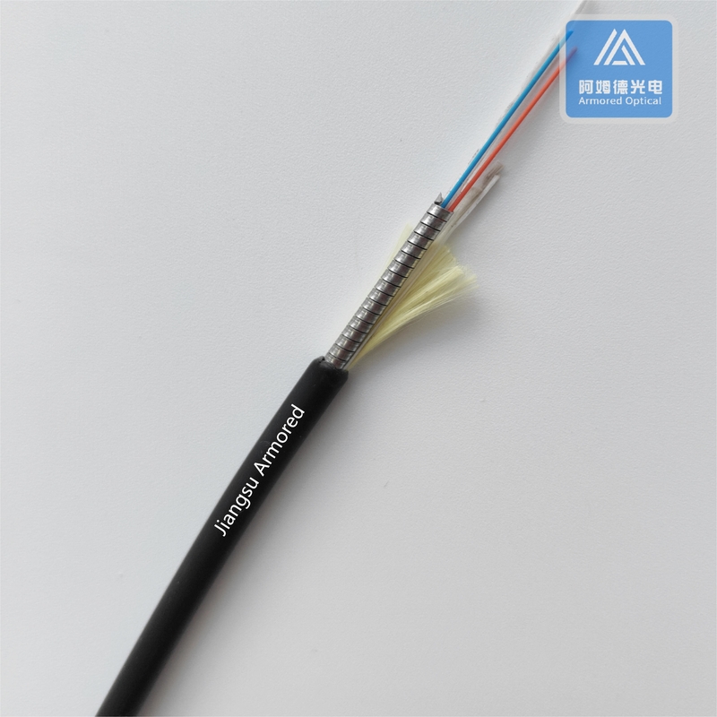 2 Core Fiber Optic Cable 5.0mm LSZH FTTH CPRI Armored Fiber Patch Cord MM FTTA