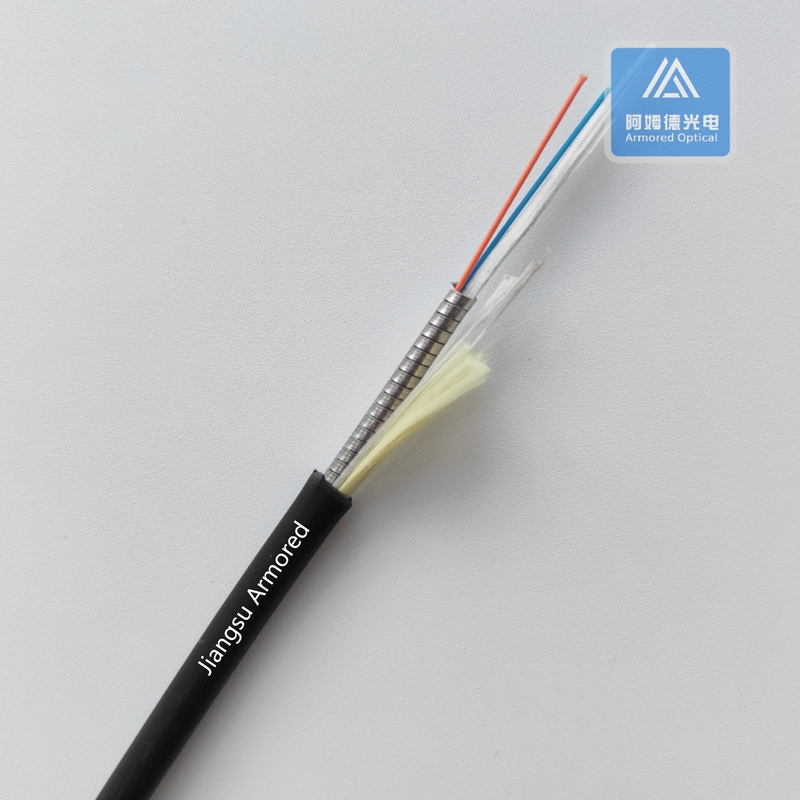 2 Core Fiber Optic Cable 5.0mm LSZH FTTH CPRI Armored Fiber Patch Cord MM FTTA