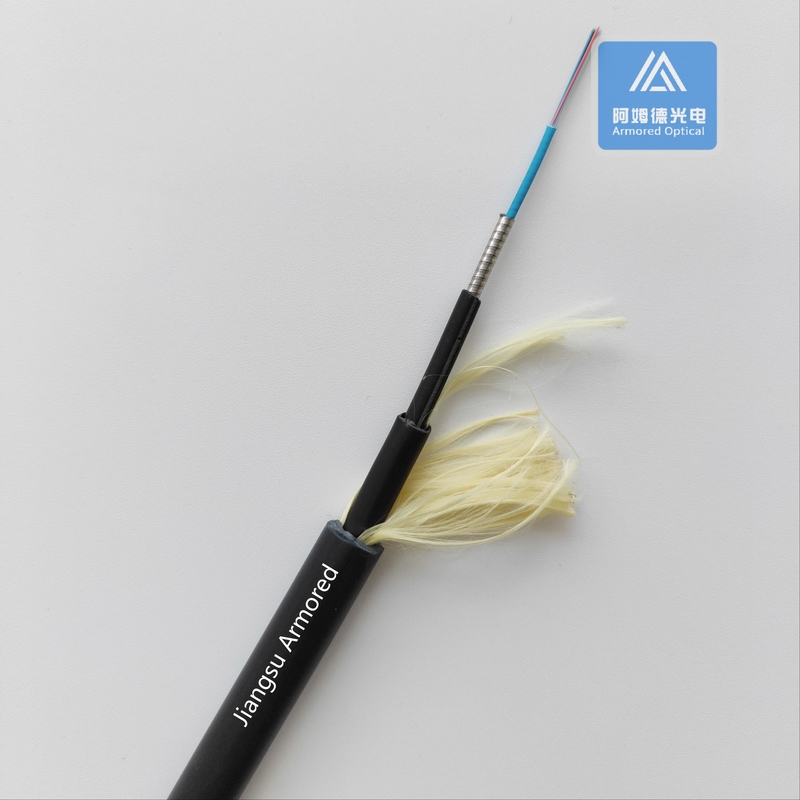 12 Core SM Fiber Optic Cable Armored Type 10.5mm Black TPU Rodent Resistant FTTH