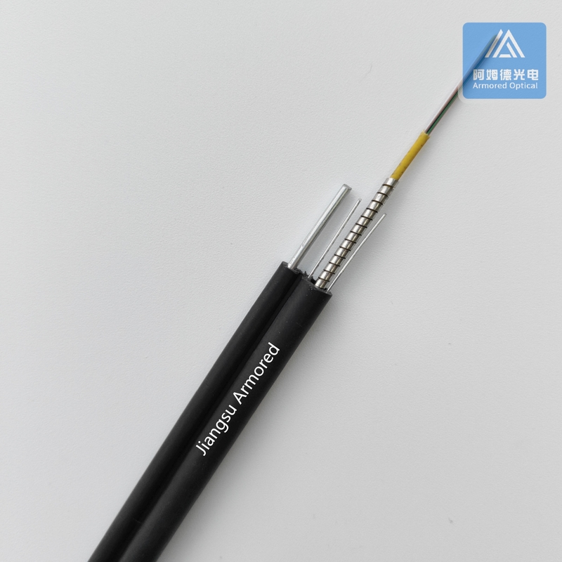 G657A 10.0x6.0mm 12 Core Armored Fiber Optic Cable