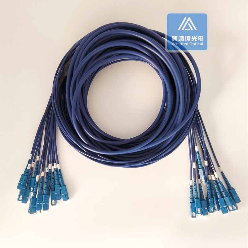 12 Cores Stainless Steel Armored Patch Cord SC-SC-30m Blue PVC 5.0mm Rodent Resistant