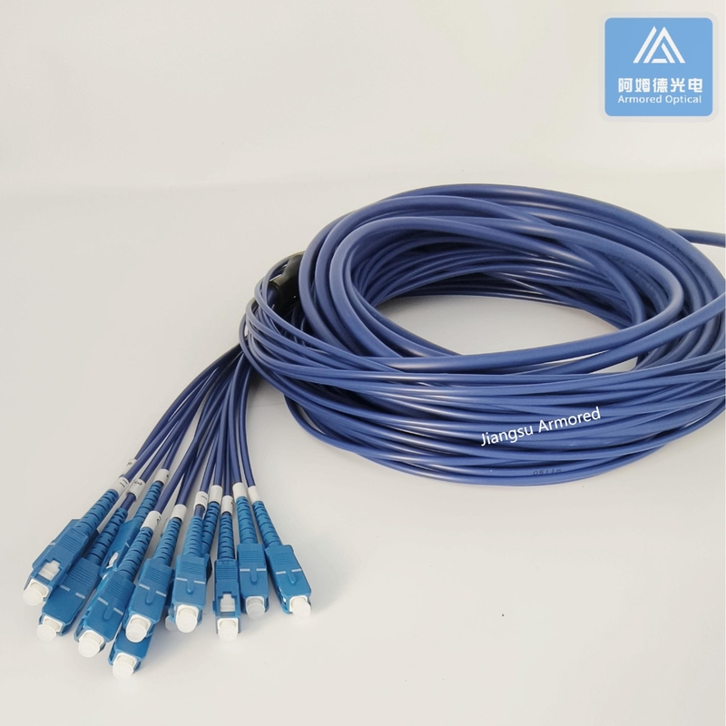 12 Cores Stainless Steel Armored Patch Cord SC-SC-30m Blue PVC 5.0mm Rodent Resistant