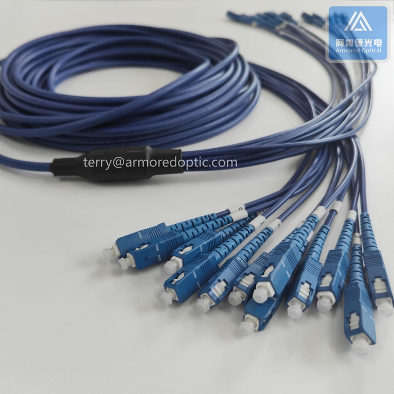 12 Cores SM Stainless Steel Armored Patch Cable SC-SC-20m Blue PVC 6.0mm